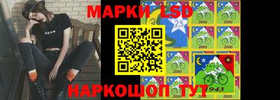 СК Волгодонск