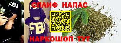 СК Волгодонск