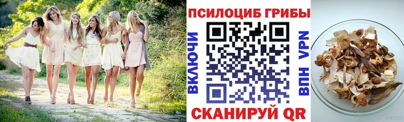 где купить   hydra онион  Галлюциногенные грибы Psilocybine cubensis  Гулькевичи 
