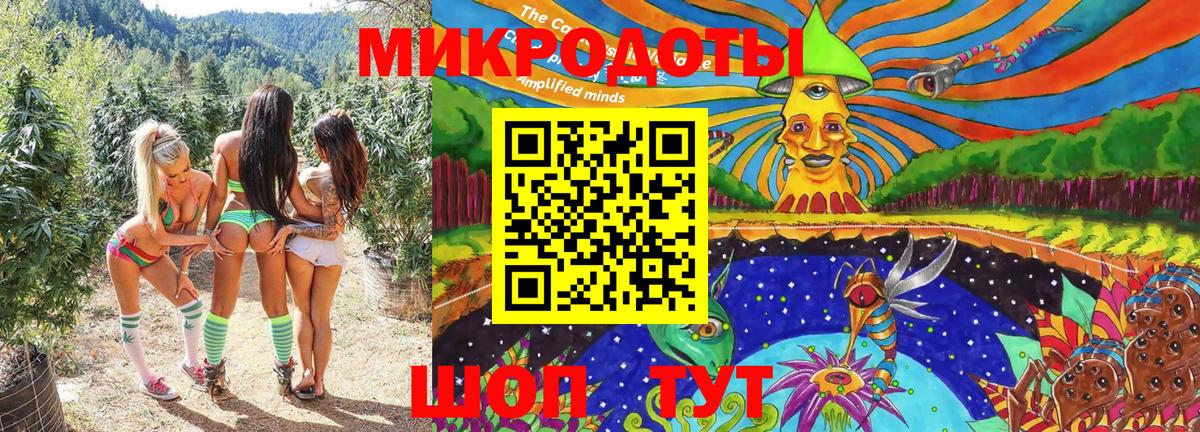 Гулькевичи  Псилоцибиновые грибы Psilocybine cubensis  что такое   Вход с VPN 